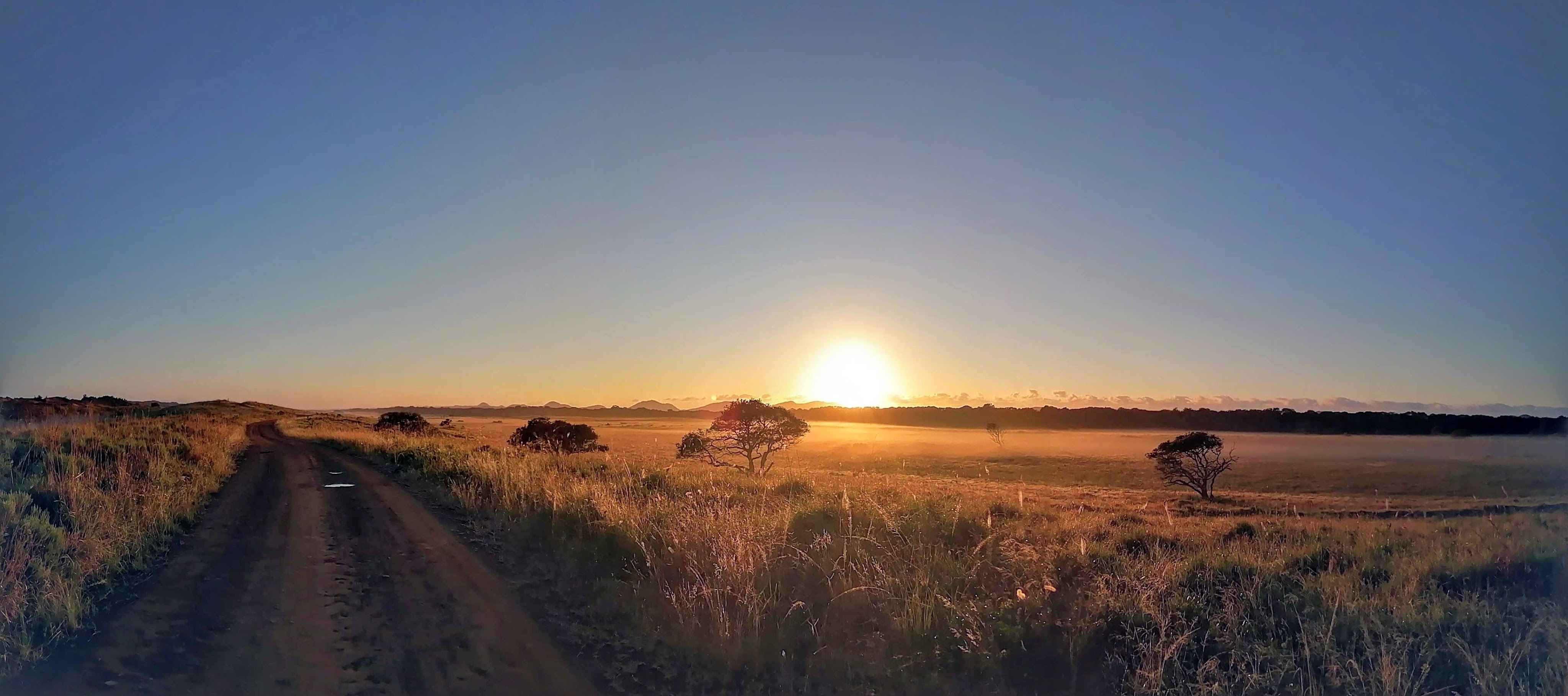 Archive Cape Vidal road and landscape panorama